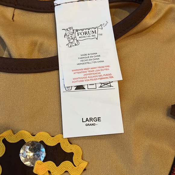 Princess Lilly costume and boots - Picture 5 of 5